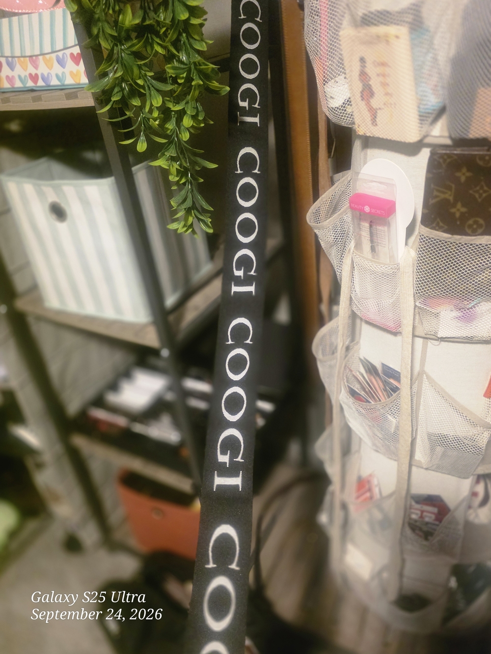 COOGI Belt